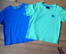 Age 2-3 NEXT Teeshirts