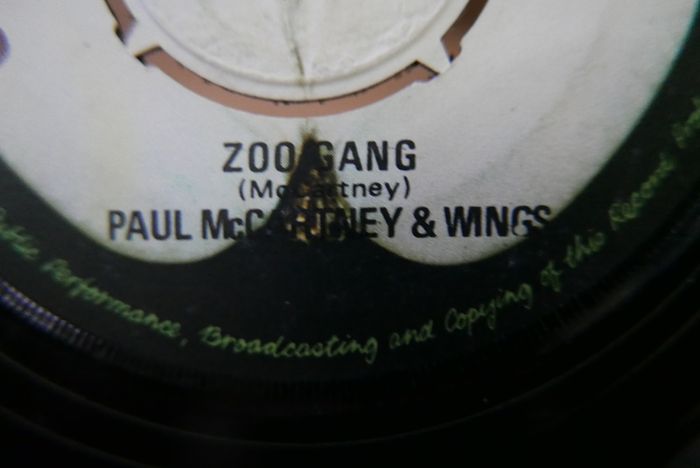 VINYLS -P. McCartney - M. Hopokin (15 each)