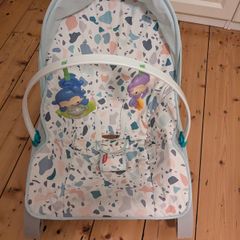 Infant to Toddler Rocker