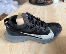Nike Pegasus Trial 2