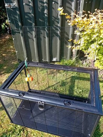 Small animal cage