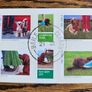 2006 Ireland Chinese New Year Year of the Dog Commemorative Stamps Miniature Sheet Mint Never Hinged (MNH) Image 3