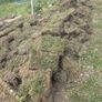 Grass slabs Image 3