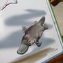 How to Draw Australian Wildlife In Very Good Condition From Pet Smoke Free Home Lots Of Books Listed For 1 2 3 Euro Image 8
