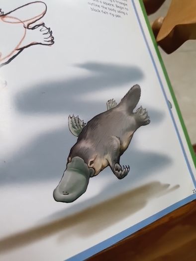 How to Draw Australian Wildlife In Very Good Condition From Pet Smoke Free Home Lots Of Books Listed For 1 2 3 Euro