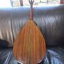 Mandocello and Hoyer Mandolin Image 3