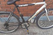 bikes