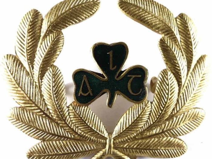 Wanted Aer Lingus & Irish Airlines Wings / Badges & Memorabilia.