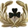 Wanted Aer Lingus & Irish Airlines Wings / Badges & Memorabilia. Image 2