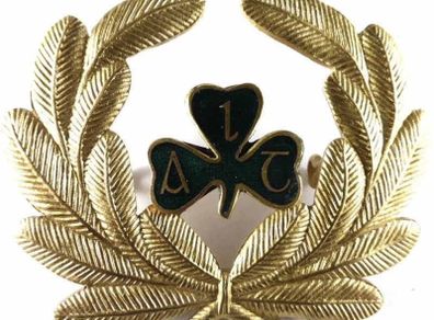 Wanted Aer Lingus & Irish Airlines Wings / Badges & Memorabilia.