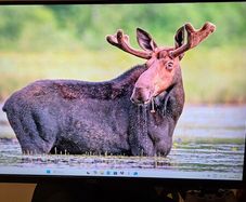 AOC monitor 27 inch