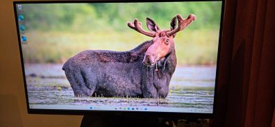 AOC monitor 27 inch