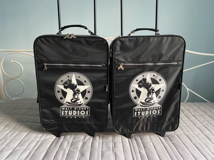 Disney Hand luggage