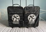 Disney Hand luggage