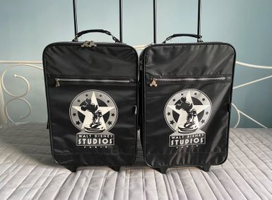 Disney Hand luggage