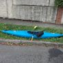 kayaks Image 2