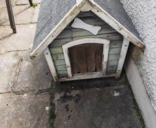 Dog Kennel