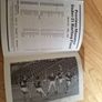 1989 Munster Hurling Final Programme . Limerick v Tipperary Image 5