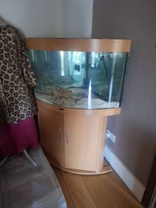Fish tank