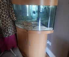 Fish tank