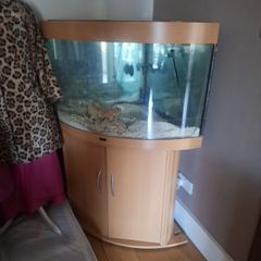 Fish tank