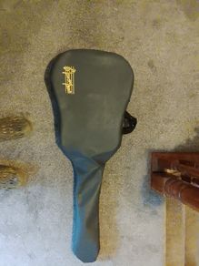 Richwood guitar in perfect condition
