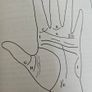Discover yourself through palm reading by Rita Robinson. Image 3