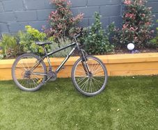 kids bike needs a service