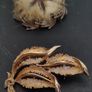 Vintage costume job lot of brooches Image 6