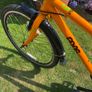 Frog Bike Image 8