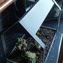 Indoor Garden Image 2