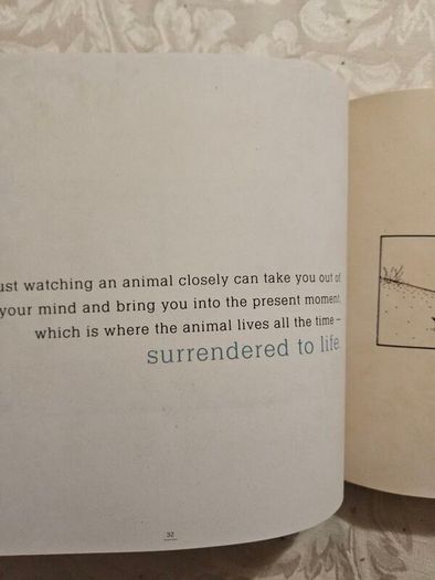 Guartians Of Being.  By Echart Tolle. Art By Patrick Mcdonnell. Hardback With Dustjacket In Good Condition.  See Photos For Same.