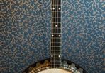 Vega Vegaphone Tenor Banjo