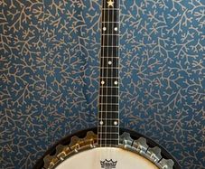 Vega Vegaphone Tenor Banjo