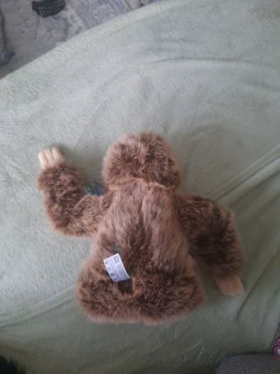 planet earth posh paws sloth