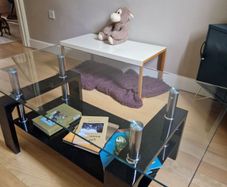 Glass Coffee Table