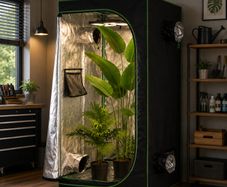 Mylar Hydroponic Grow Tent with Adjustable Vents and Floor Tray for Indoor Plant Growing