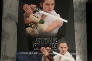 Hot toys rise of skywalker rey