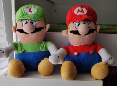 Mario and Luigi