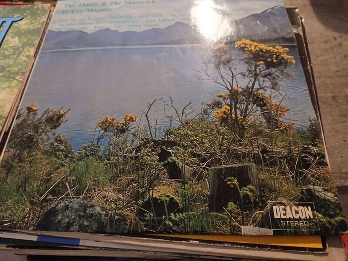 collection  of  records for sale