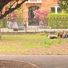 RathfarnhamSeller