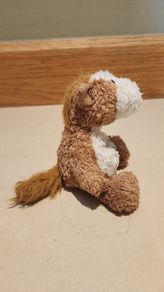 Toy Beanbag Buddies Rangler