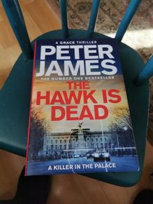 The Hawk is Dead Peter James
