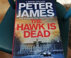 The Hawk is Dead Peter James