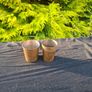 2 brass cups postage possible Image 2