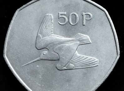 Ireland - 1975 - 50 Pence - UNC - KM.24 - [2387]