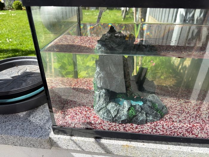 Fish Tank