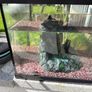 Fish Tank Image 2