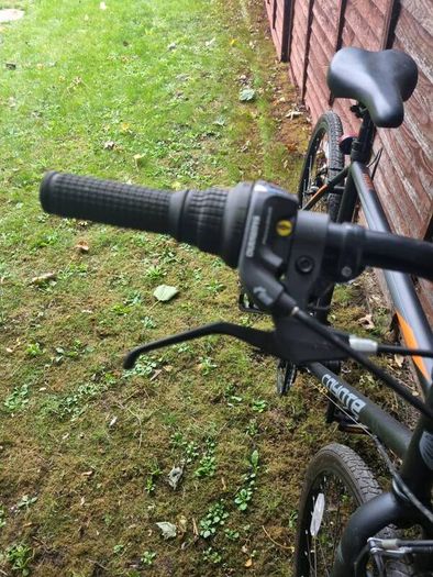 Adult Bike