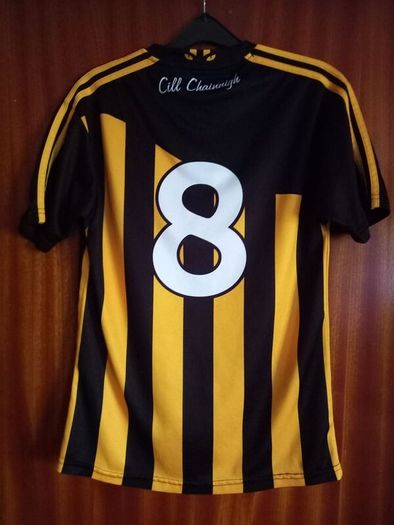 Kilkenny jersey
